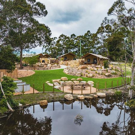 Glamping 148 Tasmania Hotel St Helens Bagian luar foto