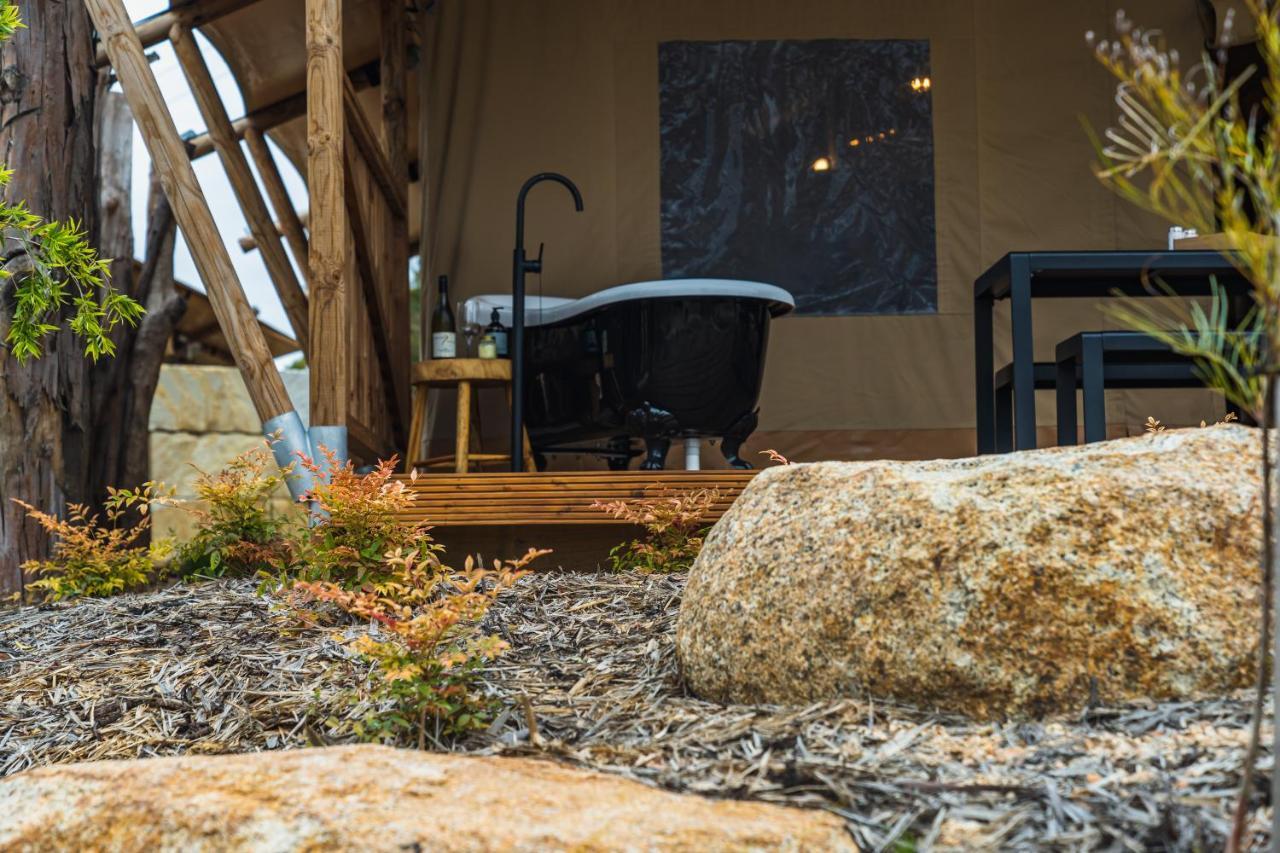 Glamping 148 Tasmania Hotel St Helens Bagian luar foto